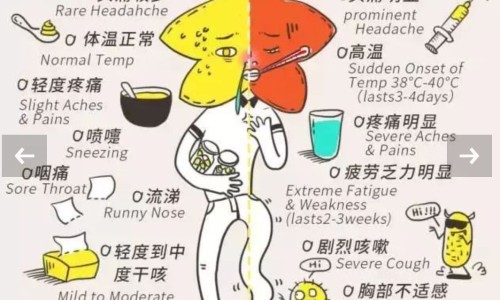 咽峡炎吃哪种消炎药-咽峡炎适合是什么食物网- 咽峡炎吃什么知识,分享咽峡炎适合是什么食物和水果